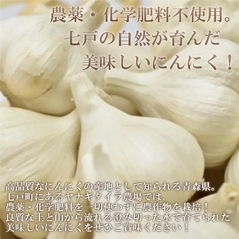【2026年8月発送】【早期予約品】にんにく(1kg) 栽培期間中農薬、化学肥料不使用　【02402-0068】