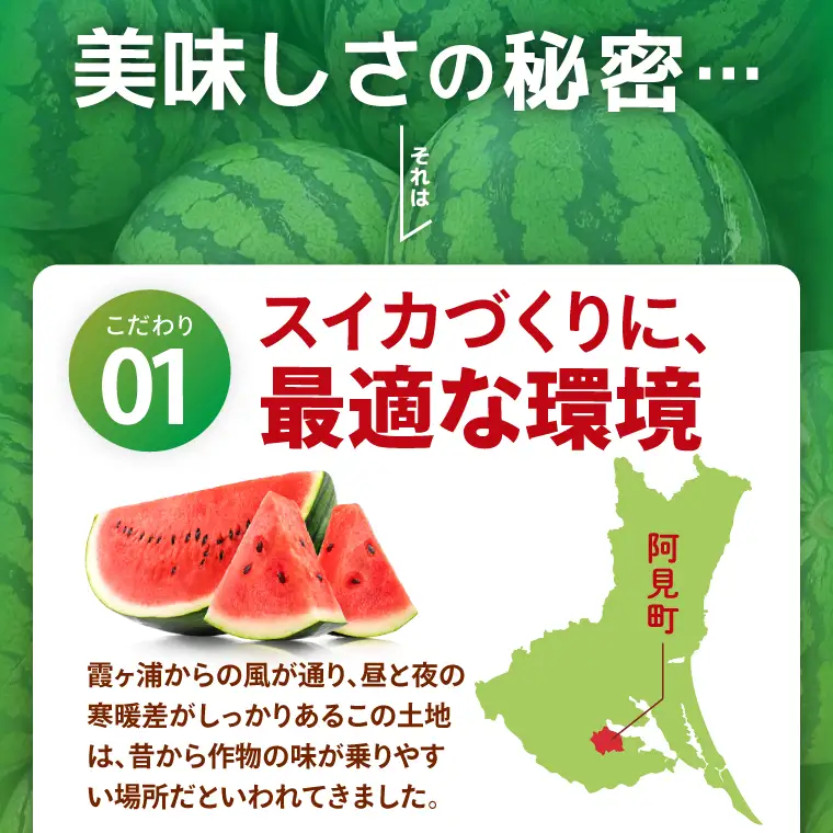 先行予約 大玉スイカ 3L サイズ 茨城県産 茨城県 阿見町 1玉 すいか 西瓜 果物 くだもの フルーツ 国産 甘い 大玉 スイカ 通販 お取り寄せ シャリ感 みずみずしい 完熟 高糖度 大きい こだわり栽培 特別栽培 旬 産地直送 数量限定 期間限定 送料無料 【先行予約｜2026年6月上旬より順次発送】（04-25）