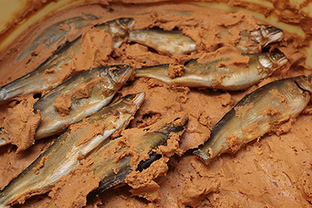 【下呂肴魚】子持ち鮎の粕味噌漬け（1匹×2袋　計2匹） 大人の贅沢 おつまみ 酒の肴 アユ あゆ 【料理茶屋浜木綿】【81-1】