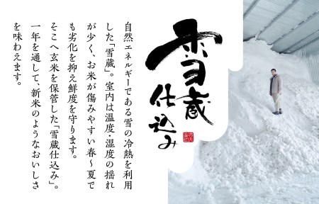 【令和7年産】 阿賀野産 コシヒカリ 「 雪室米 」10kg（ 雪室氷温熟成 ）新潟県 阿賀野市 米 こめ コメ 白米 精米 1J10059