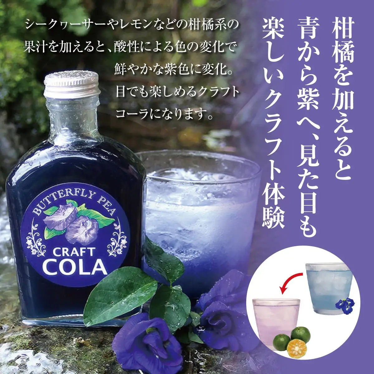 青いコーラ！バタフライピークラフトコーラ（200ml×3本セット）   