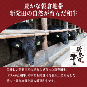 牛すじ 牛すじカレー 6個  牛すじ 牛すじ 牛すじ 牛すじ 牛すじ H23_02