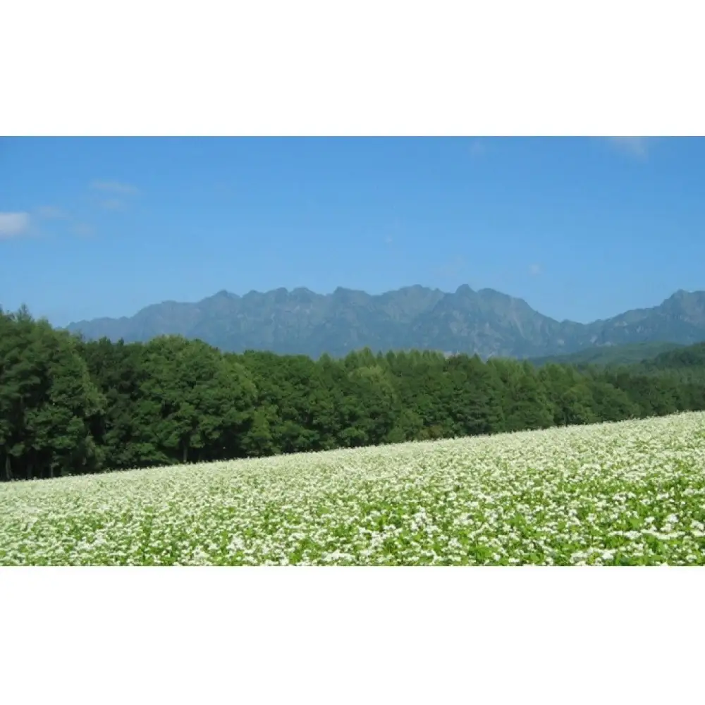長野の命水（茶臼山動物園ラベル）500ml×24本 飲料類 ミネラルウォーター | 水