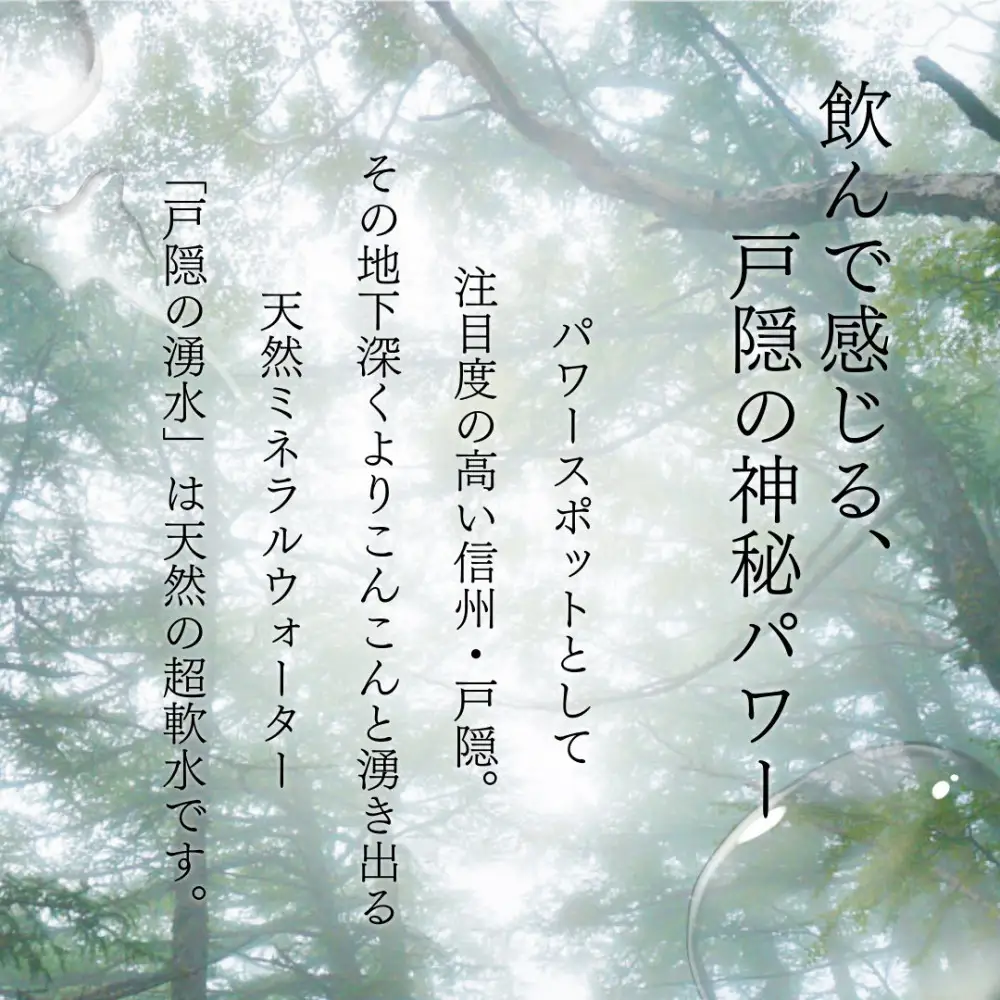 戸隠の湧水（500ml×24本入） | ミネラルウォーター 天然水 軟水 ドリンク
