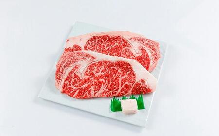 静岡するが牛 ステーキ用 500g（250g×2枚）【配送不可：離島】◇