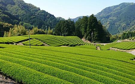 静岡市のお茶 3缶◇