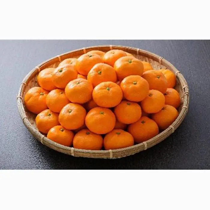 【2027年1月中旬より順次発送】甘さと酸味がマッチ　青島みかん3kg