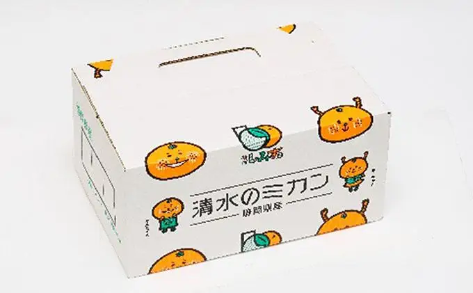 【2026年10月上旬より順次発送】甘みと酸味がギュッ　ゆら早生みかん3kg★★◆