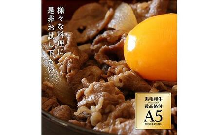 A5ランク黒毛和牛切り落とし400g【配送不可：離島】お試し 小分けパック 大容量 真空冷凍 和牛 牛肉 肉 焼肉 すき焼き 国産牛 切り落し コスパ 牛丼 肉じゃが 煮込み 煮物 小分け 霜降り 手軽 数量限定 ギフト
