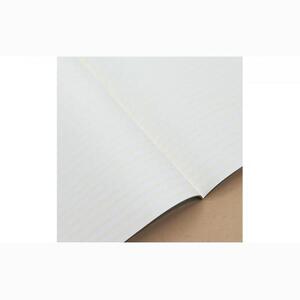 いいかげんノート なつみかんセット 2種×2冊　計4冊セット★★