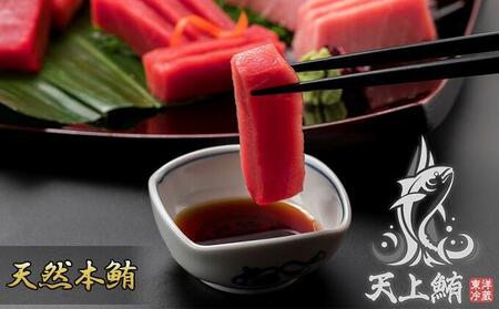 天上鮪ブランド！天然本鮪 赤身2サク・中トロ2サク・たたき1パックセット 【配送不可：離島】