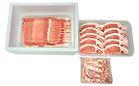 讃岐もち豚 ローススライス・テキカツ・ブロック 各1kgセット お肉 豚肉 