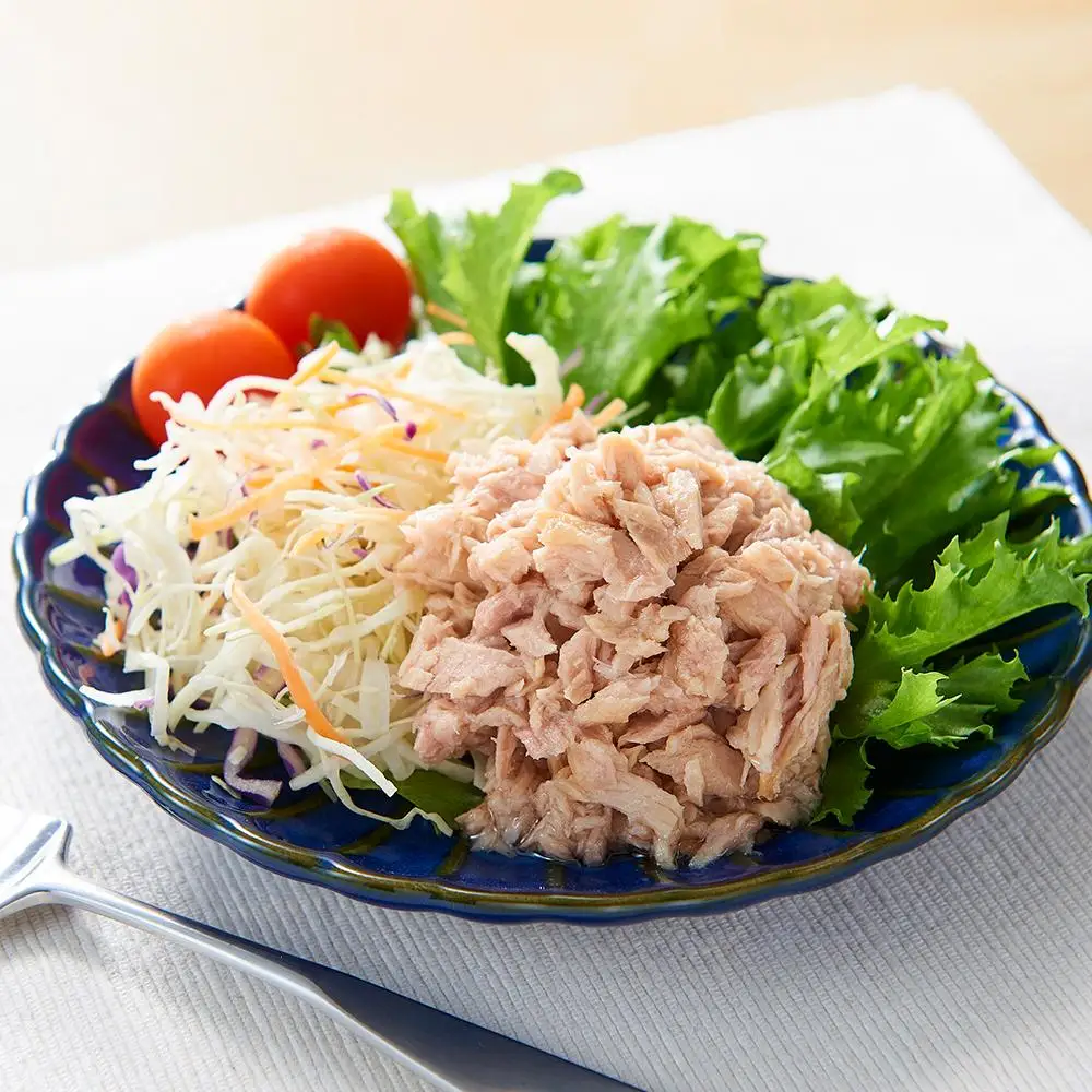 かもめ屋 ツナ缶 ライトツナフレーク 油漬 48缶 (12缶×4箱) 国産 化学調味料不使用 増粘剤不使用  まぐろ 鮪 缶詰 水産物  加工食品