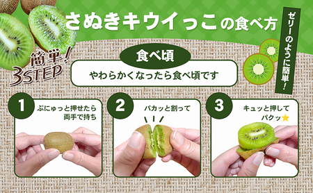 さぬきキウイっこ　約800g_キウイフルーツ 果物詰合せ くだもの 