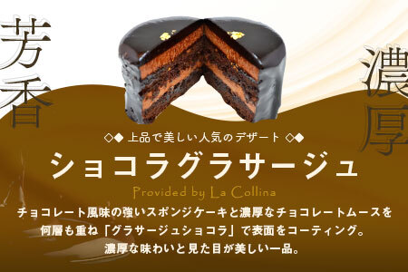 チョコレートケーキ　ショコラグラサージュ　ミニ5個セット【AM-040】