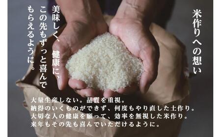 【令和7年産】 定期便 3kg ×3ヶ月 雪蔵貯蔵 無洗米 金賞受賞 魚沼産コシヒカリ 雪と技 農薬5割減・化学肥料5割減栽培 |津南町 魚沼