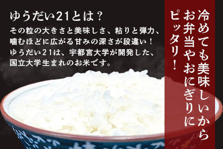 令和7年産 徳島県那賀町産 ぜったい米(こめ)だ 5kg ゆうだい21【徳島 那賀町 国産 米 お米 白米 精米 5キロ 徳島県産 国産米 高級米 単一原料米 おいしい 冷めても美味しい お弁当 おにぎり 遠足 ピクニック 贈物 プレゼント お歳暮 ギフト 産地直送】ZP-4