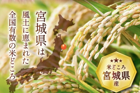 宮城県産 ひとめぼれ 10kg (5kg×2袋) 米 ひとめぼれ [宮城県 気仙沼市 20565763]