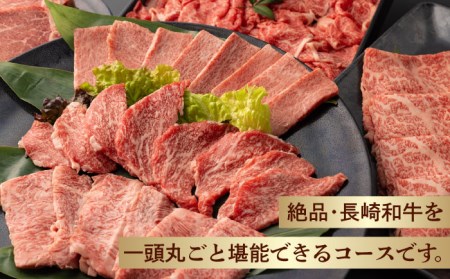 【全12回定期便】長崎和牛丸ごと一頭 堪能！ 総計6.2kg以上 サーロイン モモ イチボ シャトーブリアン 焼肉 ステーキ 長崎和牛 希少部位 【夢ファームシュシュ】 [WF15]