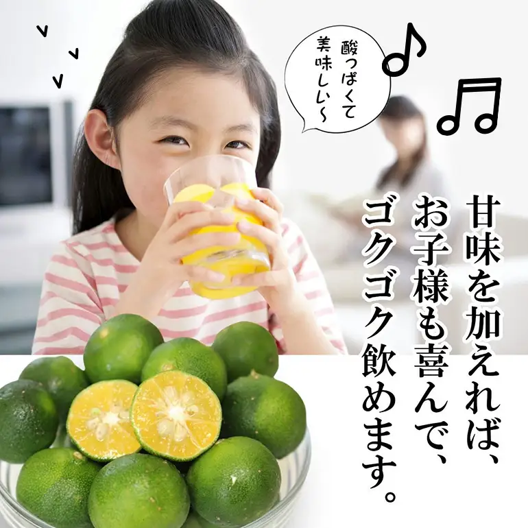 家族で飲みたいまるごと 100% シークヮーサー 500ml ×2本 (パウチタイプ) シークワーサー ジュース 果汁 ストレート 原液 常温保存 シークヮーサージュース シークワーサージュース 沖縄県産 沖縄 果実 まるごと絞り フルーツ 果物 沖縄県 糸満市