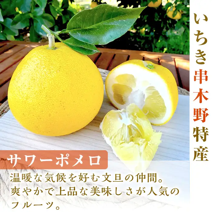 【数量限定】まるっとポメロ（バウムクーヘン）2個セット　鹿児島県産サワーポメロを使用したオリジナルスイーツのバウムクーヘン！ 2個セットのバウムクーヘン！【00-014-07】