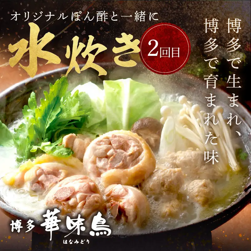 人気のもつ鍋＆水炊きお届け便【隔月定期便(計3回発送)】【F-028】