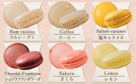 静マカロン缶～選べる8個セット～_LG-C202_(都城市) 日向夏 マンゴー いちご ショコラ バイオ茶 黒ごま ラムレーズン コーヒー 塩キャラメル ショコラフランボワーズ さくら レモン 和三盆 カシスオレンジ ローズ シナモン ピスタチオ 焼き芋「絵本作家たなかしんさん」ネコとリス缶 贈答用 