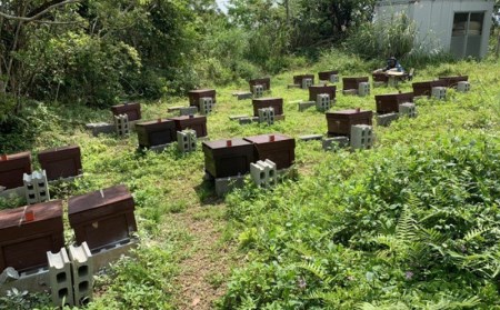 はちみつ BitterHoney 非加熱無添加 ビターハニー2個 はちみつ