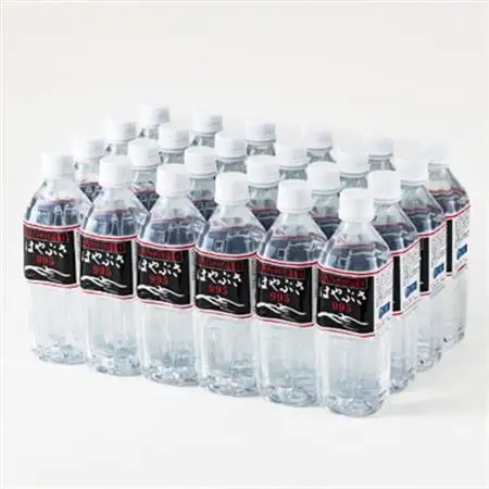 りょう泉はやぶさ　995〈500ml×24本〉【1031769】