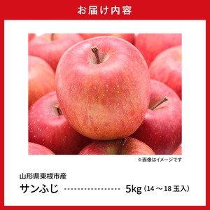 【2026年産】りんご「サンふじ」約5kg(14～18玉入) りんご