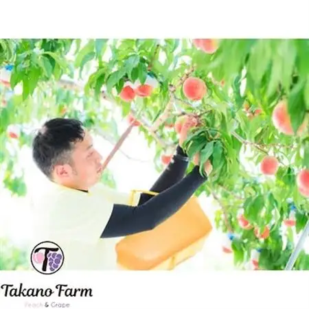 【2026年発送】完熟収穫桃 約2kg 山梨県産 自社農園産直 Takano Farm【配送不可地域：離島】【1115745】