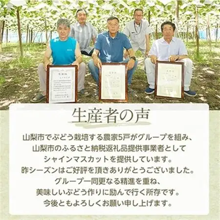 【2026年発送】シャインマスカット 1kg (2房) 農家直送 世界農業遺産認定地特産【配送不可地域：離島】【1117446】