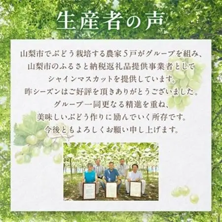 【2026年発送】シャインマスカット 2kg (3～4房) 農家直送 世界農業遺産認定地特産【配送不可地域：離島】【1117447】