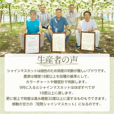 【2026年発送】完熟 シャインマスカット 2房 (1kg以上) 世界農業遺産認定地特産【配送不可地域：離島】【1117448】