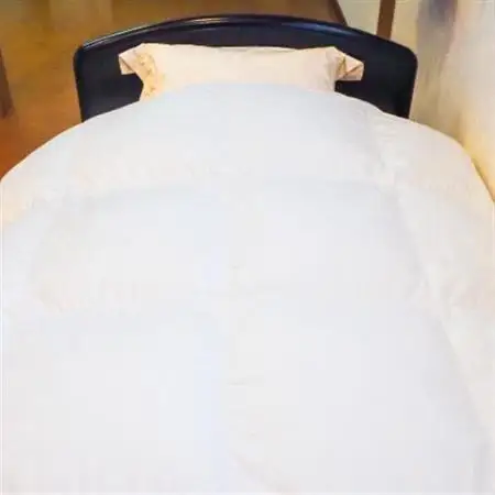 羽毛掛け布団/ポーランドホワイトダック93%(ホワイト)【1132196】