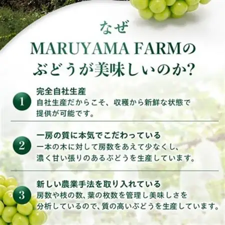 【 2026年発送】農林水産大臣賞受賞!!シャインマスカット 2房 1kg以上_甘いシャインマスカット あまいシャインマスカット 美味しいシャインマスカット おいしいシャインマスカット 人気のシャインマスカット 瑞々しいシャインマスカット _【配送不可地域：離島】【1143545】