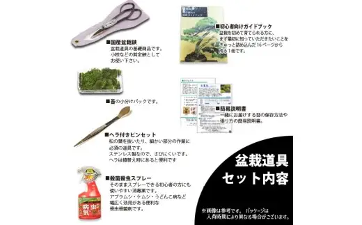 【39-10】 養庄園 盆栽と盆栽道具 初心者入門セット