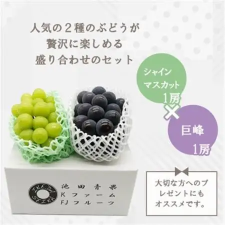 【2026年発送】シャインマスカット 巨峰 2種セット 大人気ぶどう2種盛り合わせ計1kg以上_甘いシャインマスカット あまいシャインマスカット 美味しいシャインマスカット おいしいシャインマスカット 人気のシャインマスカット 瑞々しいシャインマスカット _【配送不可地域：離島】【1296211】