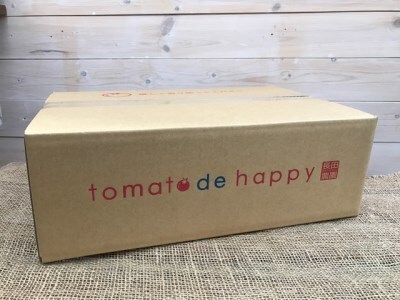 【2026年度予約分】増量約2kg！甘さ抜群!!トマト嫌いでも食べられるトマトベリー 4月～6月発送 野菜ソムリエサミット 金賞 受賞 長田農園 産地直送 トマト とまと 野菜 やさい フルーツ サラダ 濃厚 甘い ご褒美 プレゼント 美容 健康 リピート多数 人気 高評価 数量限定 碧南市 H004-196