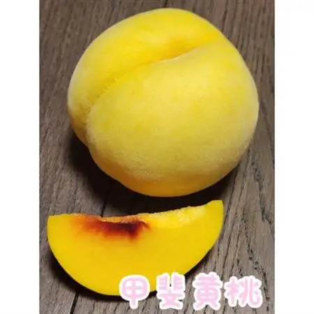 【2026年発送】農家直送の桃　5kg(18～12個)【配送不可地域：離島】【1322142】