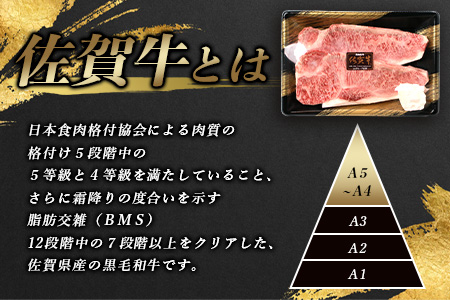 佐賀牛サーロインステーキ 4枚(合計840g)【黒毛和牛】F-54 肉 牛肉 A4等級以上 佐賀牛