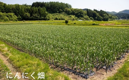 熟成黒にんにく　田子の黒Lサイズ6個入り（化粧箱）【田子町産にんにく使用】