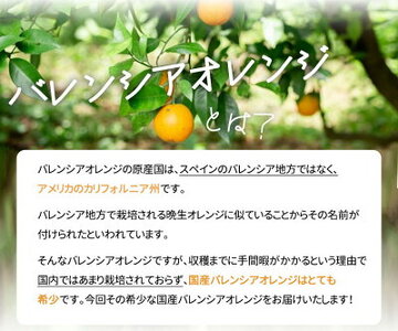 G7080_希少な 国産 バレンシアオレンジ 7kg 【家庭用 訳あり】【国産オレンジ オレンジ 柑橘 フルーツ 和歌山 有田】