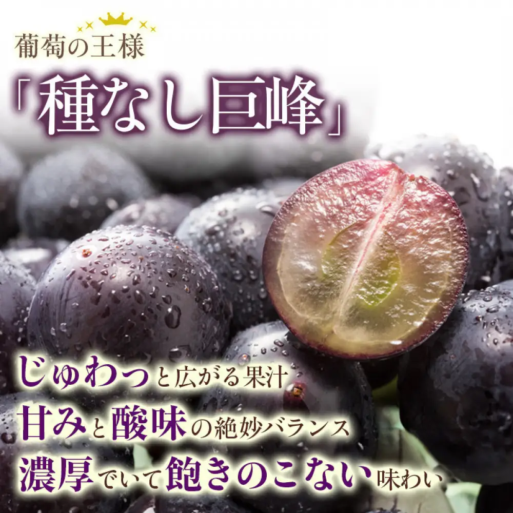 2026年産 ぶどう  種なし 巨峰 約 2kg 箱3～6房入り 巨峰種無し フルーツ 果物 旬 ブドウ 葡萄 おやつ 信州 長野県 長野市 2026年 秋発送 長野県長野市 | 巨峰種無し フルーツ 果物 旬 ブドウ 葡萄 信州 長野県 長野市 2026年 秋発送 長野県長野市 ぶどう 種なし フルーツ 人気 おすすめ   送料無料  長野県 長野市 信州 信濃 ふるさと納税