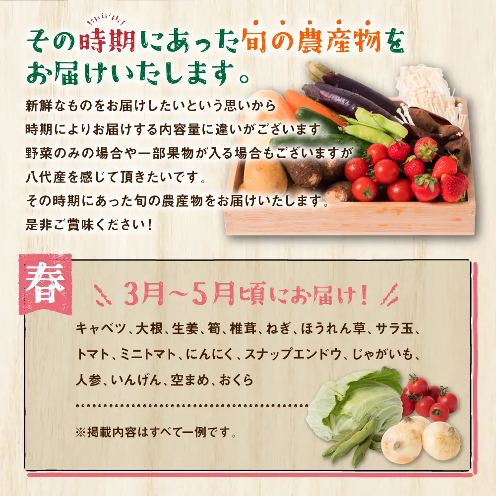八代市産 旬の農産物詰合せ 復興 福袋 7品以上 野菜 果物 東陽地区 季節の野菜 季節の果実 おまかせ