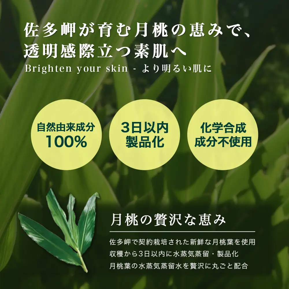 【100％自然由来】ゲットウ化粧水（150ml×1本） BF-520 │美容 化粧品 化粧水 スキンケア 肌ケア ボディケア 月桃 げっとう ゲットウ 基礎化粧品 化粧下地 整肌 乾燥肌 明るい肌 保湿 潤い うるおい ハリ 弾力  ボタニカノン BOTANICANON ケミカルフリー 鹿児島県 南大隅町 ボタニカルファクトリー 