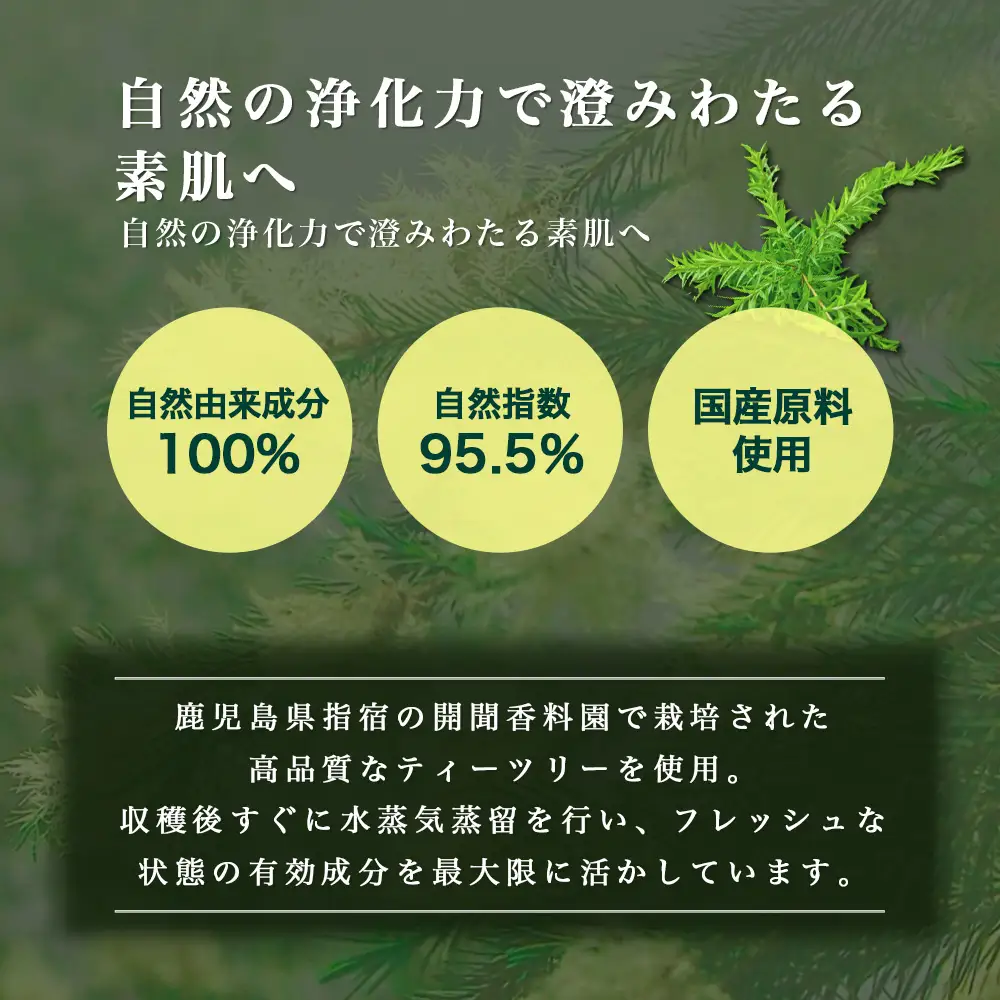 【100％自然由来】ティーツリー化粧水（150ml×1本） BF-522 │美容 化粧品 化粧水 スキンケア 肌ケア ボディケア 頭皮 ローション ティーツリー アーチチョーク レモングラス 基礎化粧品 化粧下地 整肌 乾燥肌 肌荒れ 保湿 潤い うるおい ハリ 弾力 hフケ かゆみ ボタニカノン BOTANICANON ケミカルフリー 鹿児島県 南大隅町 ボタニカルファクトリー 