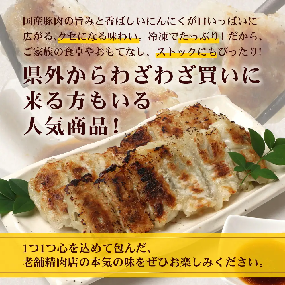 《リピーター続出！》佐多の田中肉屋 ニンニクたっぷりやみつき餃子 120個（12個入り×10パック） 餃子のタレ付き TA-402 | ぎょうざ 餃子 ギョウザ 豚肉 ひき肉 にんにく スタミナ餃子 焼くだけ 簡単 小分け 大容量 手作り お惣菜 おかず 冷凍 鹿児島県 南大隅町 田中精肉店