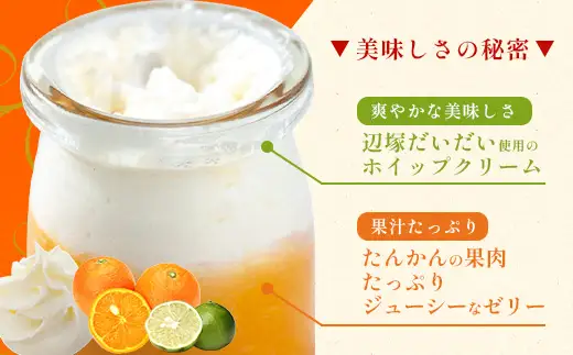 だいたんな詰め合わせ6個セット【日本百貨店協会会長賞 受賞】SH-703 | 2022かごしまの新特産品コンクール 受賞 たんかん ゼリー チョコレートムース 果肉入り タンカン 辺塚だいだい へつかだいだい 贅沢 スイーツ フルーツ ゼリー 手作り おしゃれ 限定スイーツ ジューシー 冷凍 産地直送 オリジナル 贈答 ギフト ボックス プレゼント ご褒美 鹿児島県 南大隅町 31℃LINE花子