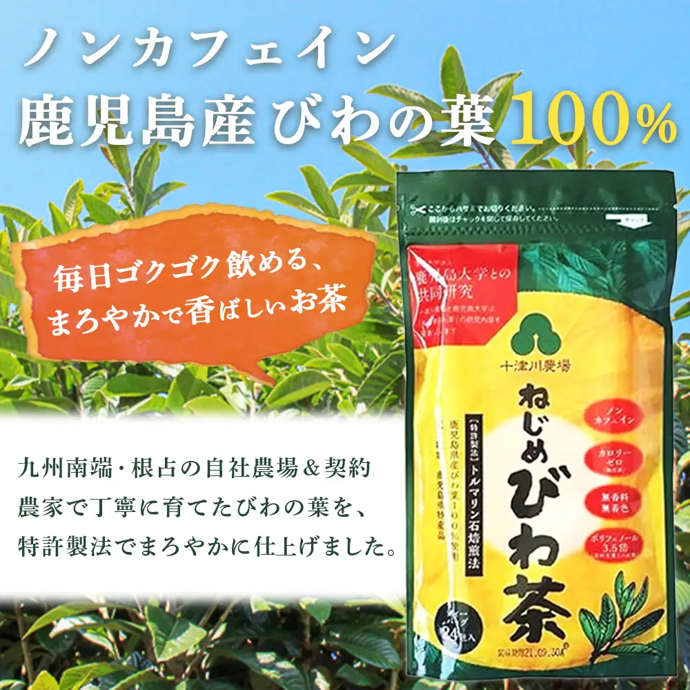 鹿児島県産 ねじめびわ茶 ティーバック 化粧箱入（24包入×3袋）ノンカフェイン TO-402-NP | 国産 お茶 健康茶 ポリフェノール 無香料 無着色 さわやか 甘み 香ばしい おいしい びわの葉 トルマリン石焙煎 産地直送 鹿児島県 南大隅町 十津川農場